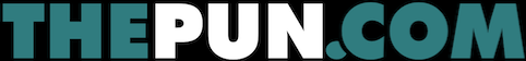 The Pun